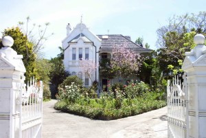 Photo of 'Quisiana', Cathy Jones 2004