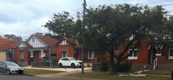 Flemington Rd 2018. Photo. Cathy Jones