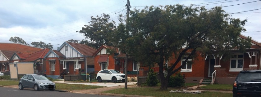 Flemington Rd 2018. Photo. Cathy Jones