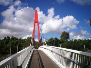 Pedestrian Bridge across M4 - Pomeroy Street Homebush. Photo Cathy Jones 2005