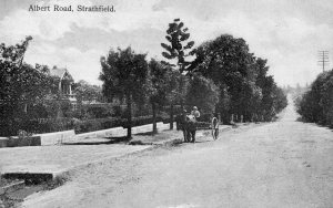 Albert Rd Strathfield c1910