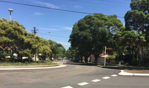 Shortland Ave Strathfield. Photo Cathy Jones 2017