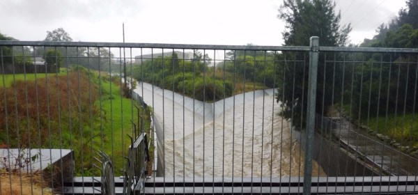 Cooks River at Water Street 2012. Photo Cathy Jones.