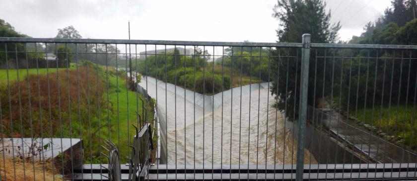 Cooks River at Water Street 2012. Photo Cathy Jones.