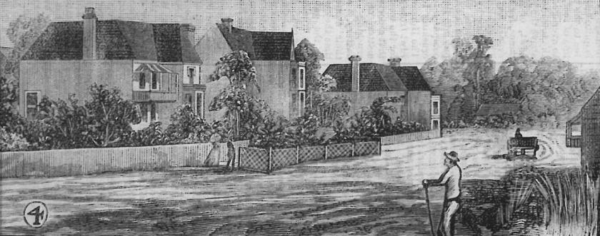 The Boulevarde 1888 illustration from Australian Town & Country Journal
