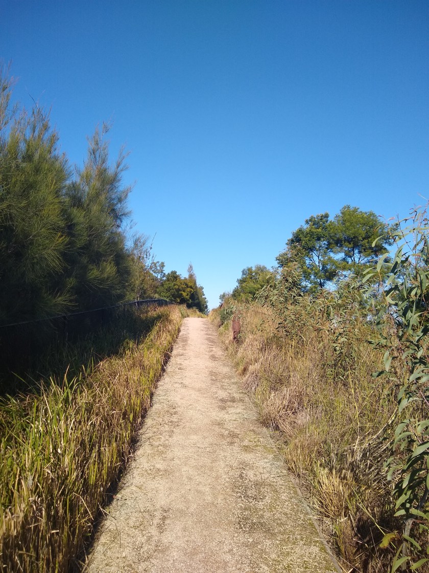Mount Enfield - the climb. Photo Cathy Jones 2019