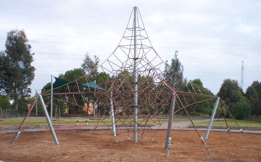 Dean Reserve Climbing Tree. Photo Cathy Jones 2007