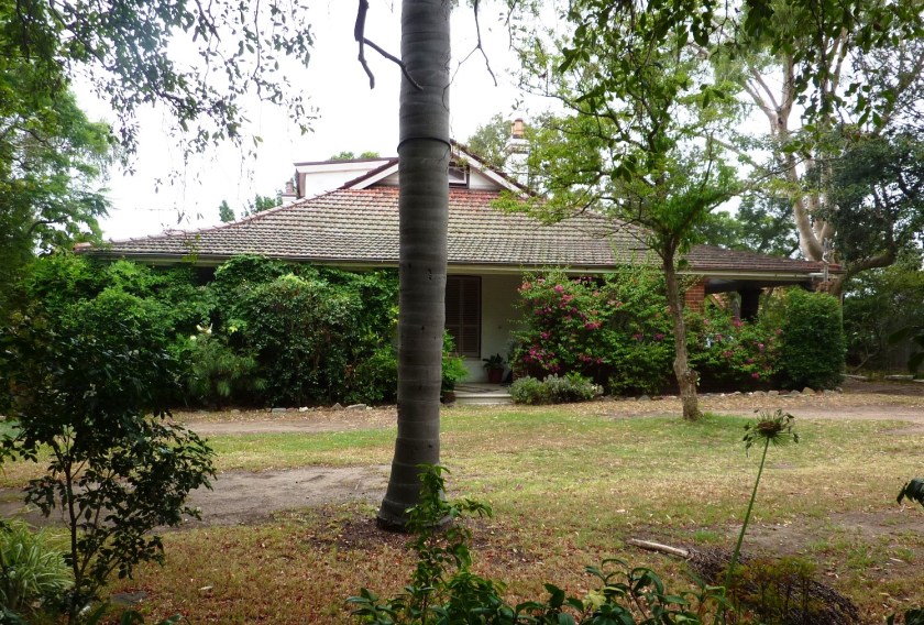 Wirrulda Redmyre Rd Strathfield. Photo Cathy Jones