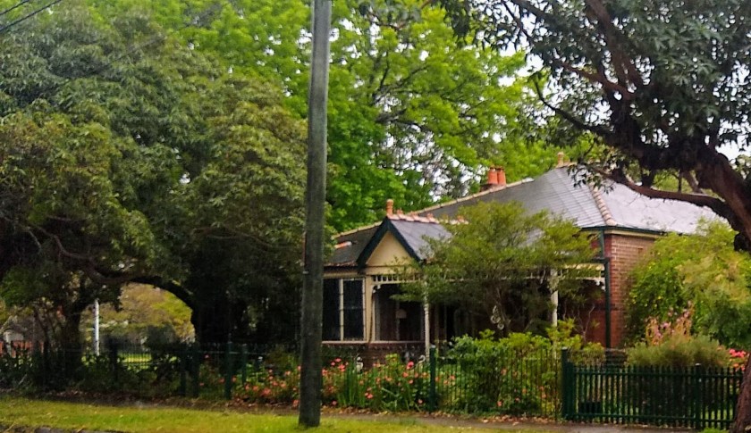 Del Norte 107 Rochester St Strathfield. Photo Cathy Jones 2020