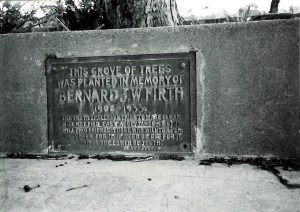 Bernard Firth Grove of Trees Hudson Park 1986