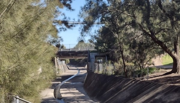 Water Street Bridge 2021. Photo Cathy Jones