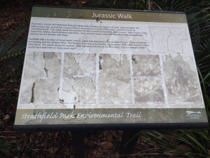 Strathfield Park Environmental Trail -Jurassic Walk