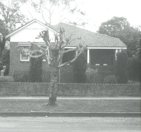 17 Meredith Street Homebush