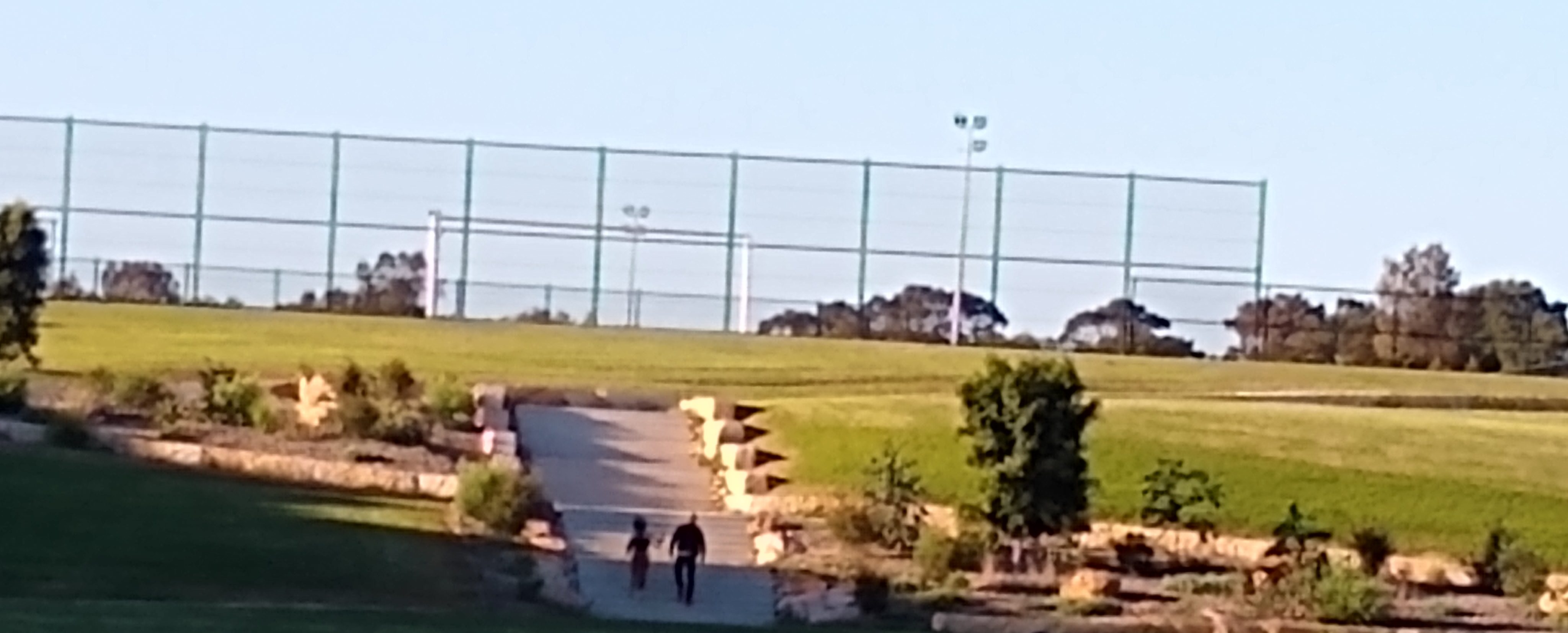 Bressington Park Homebush - looking east. Photo Cathy Jones 2021