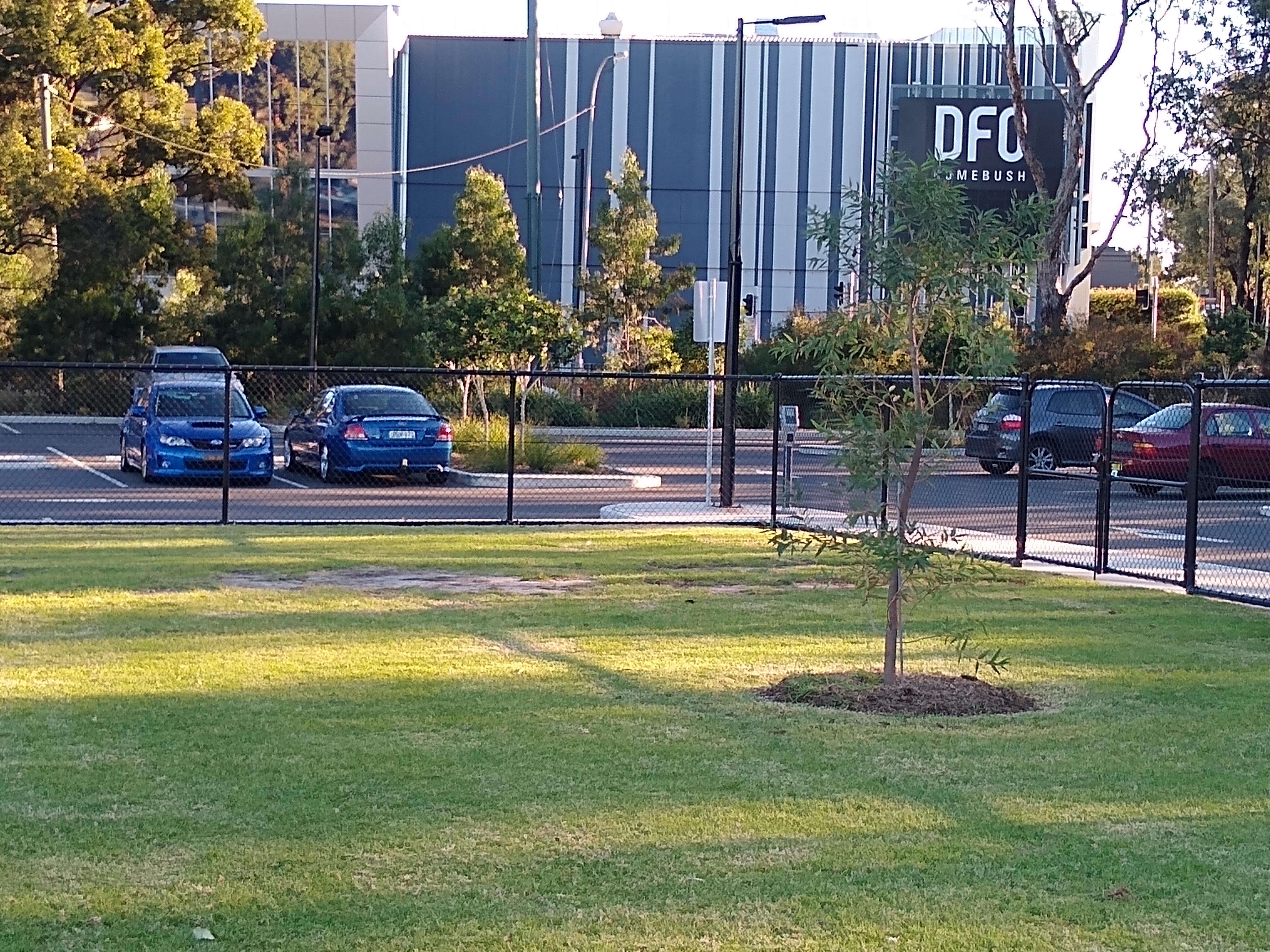 Bressington Park Homebush. Photo Cathy Jones 2021