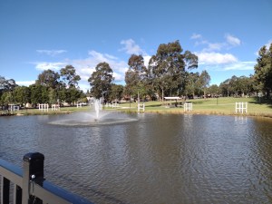 Hudson Park lake 2021. Photo Cathy Jones