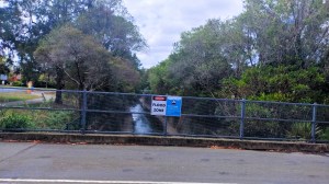 Cooks River Augusta Street. Photo Cathy Jones 2023