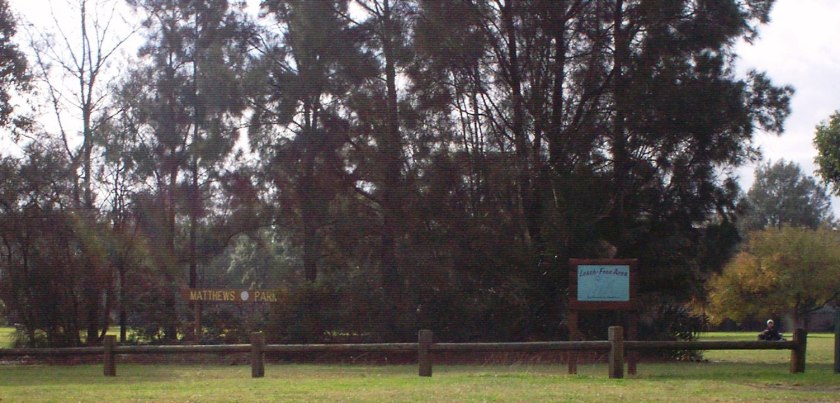 Matthews Park 2 June 2006. Photo Cathy Jones