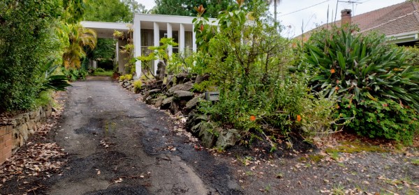 60 Beresford Road Strathfield. Photo Cathy Jones 2024