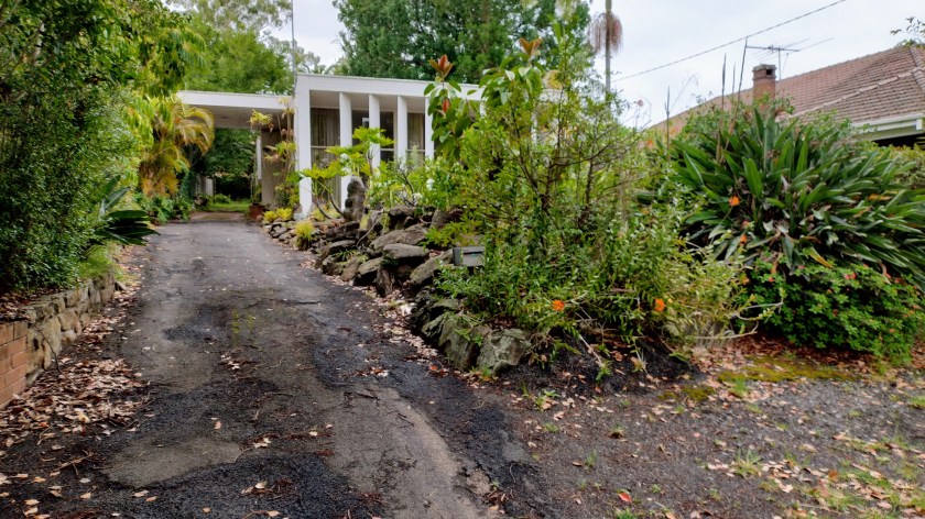 60 Beresford Road Strathfield. Photo Cathy Jones 2024