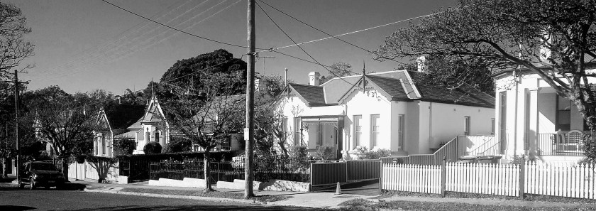 Woodward Ave streetscape 2022. Photo Cathy Jones