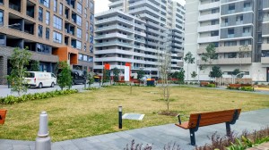 Nipper Street Open Space. Photo Cathy Jones 2024