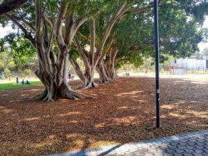 Ismay Reserve 2019. Photo Cathy Jones